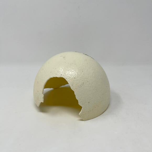 Hand Painted Ornament Reindeer on Partial Ostrich Egg Signed Nebraska Artist - Picture 4 of 6